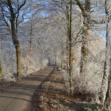 Апартаменты Zum Heuerling Tenne *