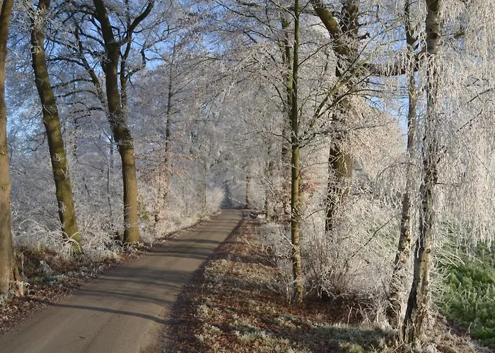 Lejlighed Zum Heuerling Tenne *